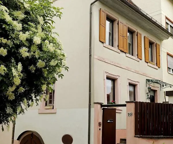 Gemütliches Stadthaus Im Herzen Der Altstadt Ferienhaus *